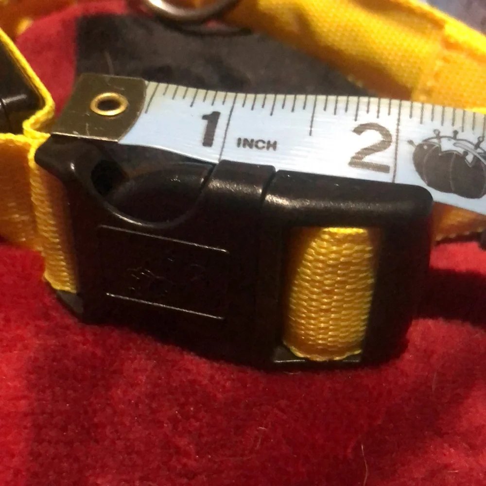 🛍Light up Dog collar‎ with ring.
